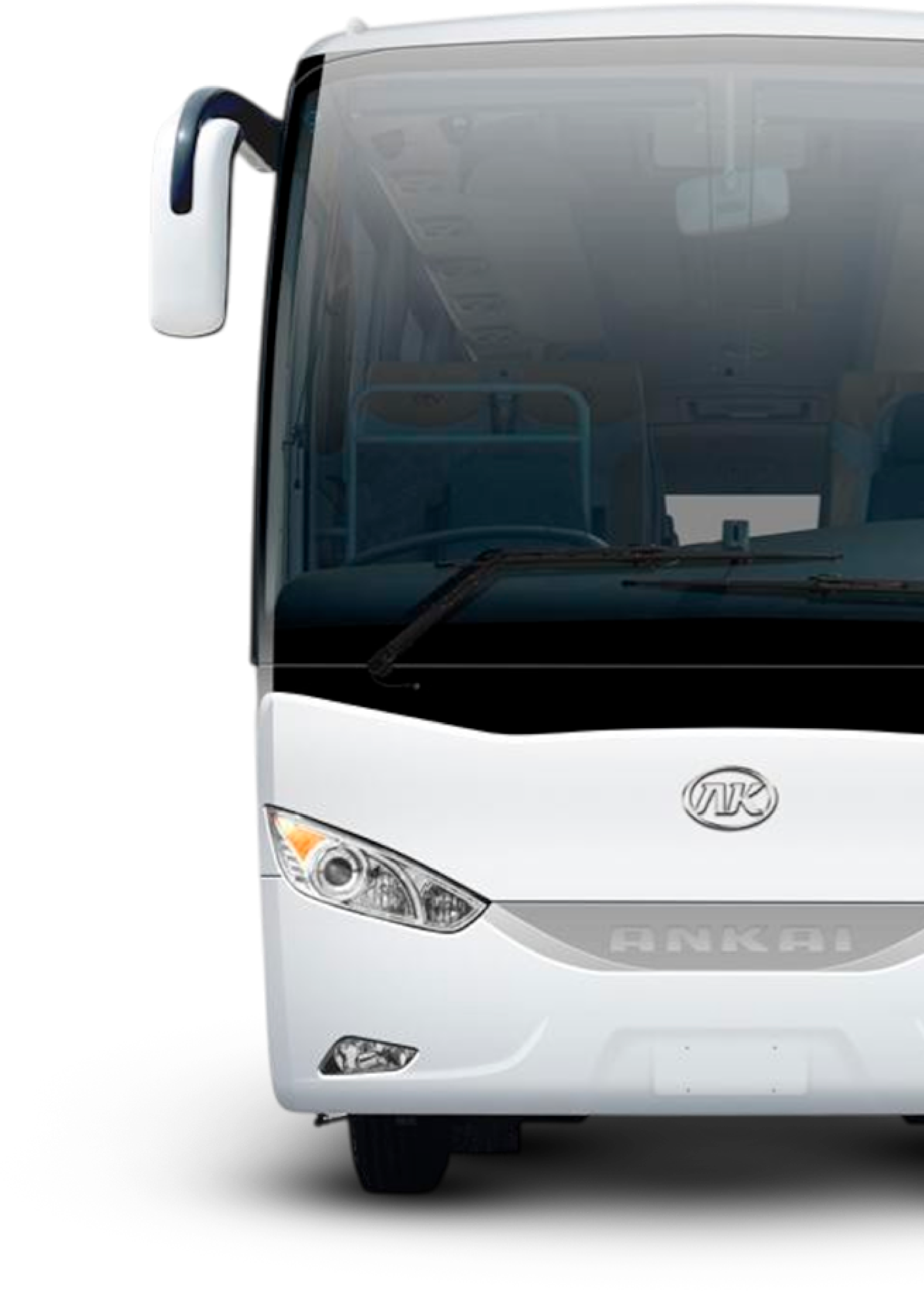 Buses y busetones